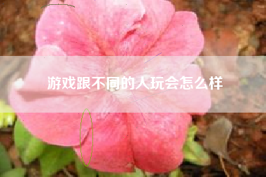 游戏跟不同的人玩会怎么样