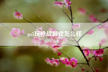 ps5玩枪战游戏怎么样