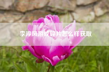 李淳风游戏碎片怎么样获取