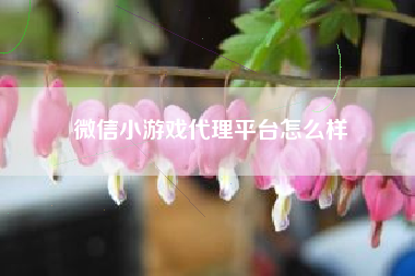 微信小游戏代理平台怎么样