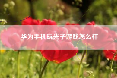 华为手机玩光子游戏怎么样