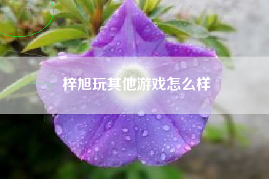 梓旭玩其他游戏怎么样