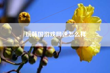 玩韩国游戏网速怎么样