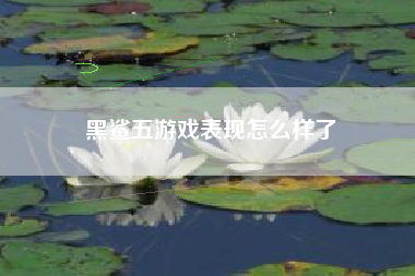黑鲨五游戏表现怎么样了