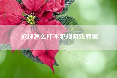 抢球怎么样不犯规游戏教案