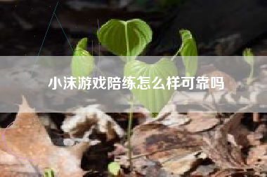 小沫游戏陪练怎么样可靠吗