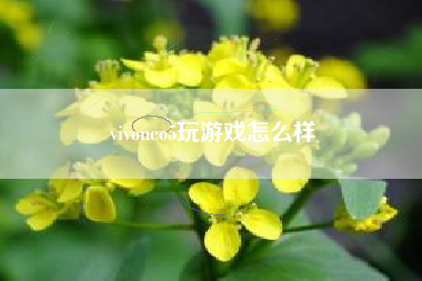 vivoneo5玩游戏怎么样