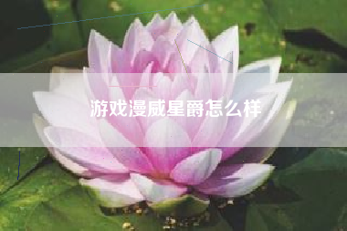 游戏漫威星爵怎么样