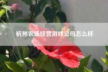 杭州农场经营游戏公司怎么样