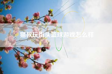 猫叔玩街头篮球游戏怎么样