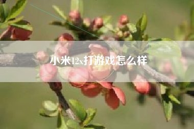 小米12x打游戏怎么样