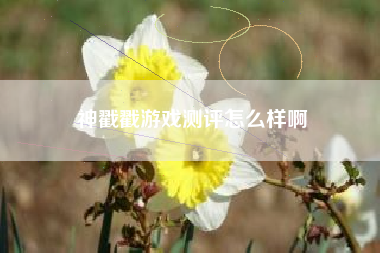 神戳戳游戏测评怎么样啊