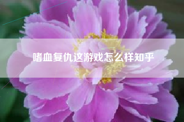 嗜血复仇这游戏怎么样知乎