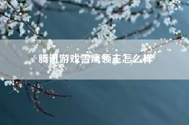 腾讯游戏雪鹰领主怎么样