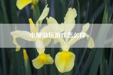 小柳湖玩游戏怎么样