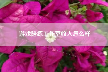 游戏陪练工作室收入怎么样