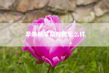 苹果畅享游戏机怎么样