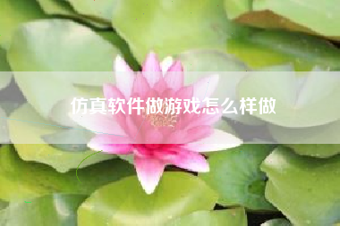 仿真软件做游戏怎么样做