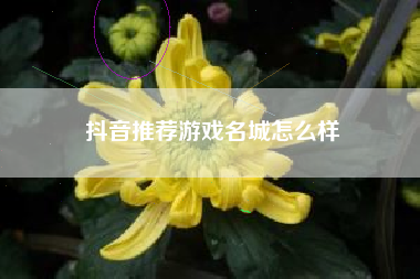 抖音推荐游戏名城怎么样