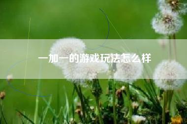 一加一的游戏玩法怎么样