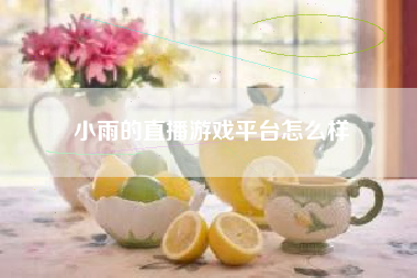 小雨的直播游戏平台怎么样