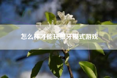 怎么样才能玩狼牙模式游戏