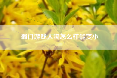 蜀门游戏人物怎么样能变小