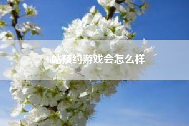 b站预约游戏会怎么样