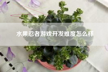水果忍者游戏开发难度怎么样