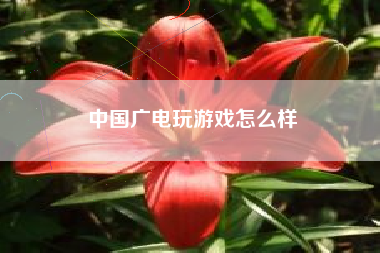中国广电玩游戏怎么样