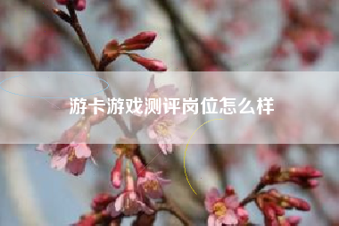 游卡游戏测评岗位怎么样