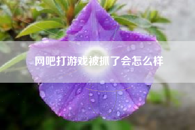 网吧打游戏被抓了会怎么样