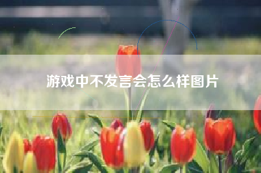 游戏中不发言会怎么样图片