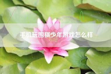 手机玩围棋少年游戏怎么样