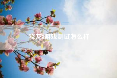 骁龙8游戏测试怎么样