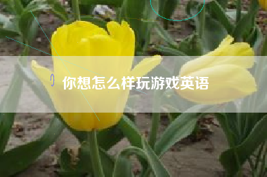你想怎么样玩游戏英语
