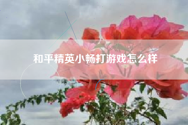 和平精英小畅打游戏怎么样