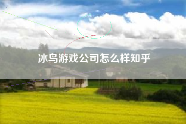 冰鸟游戏公司怎么样知乎