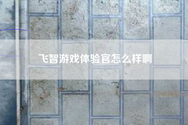 飞智游戏体验官怎么样啊