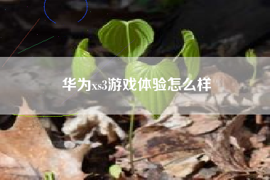 华为xs3游戏体验怎么样