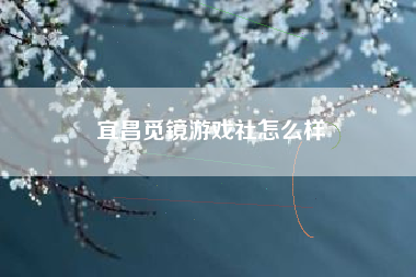 宜昌觅镜游戏社怎么样