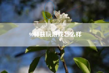 90赫兹玩游戏怎么样