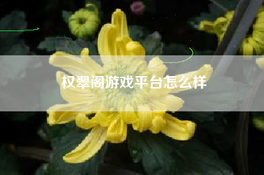 权翠阁游戏平台怎么样