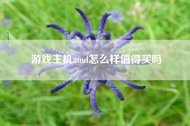 游戏主机amd怎么样值得买吗