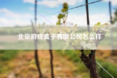 北京游戏盒子有限公司怎么样