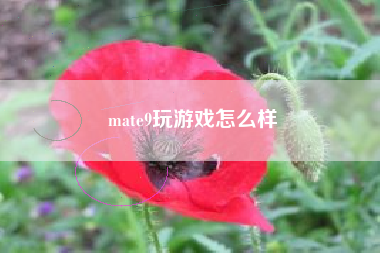 mate9玩游戏怎么样