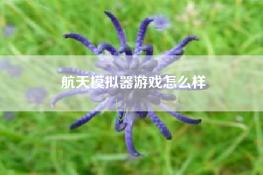 航天模拟器游戏怎么样