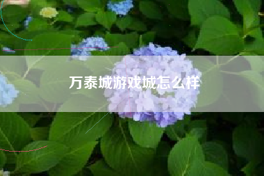 万泰城游戏城怎么样