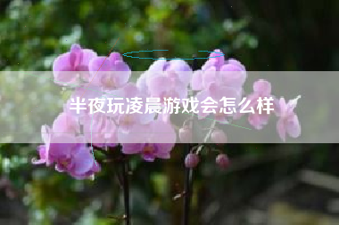 半夜玩凌晨游戏会怎么样