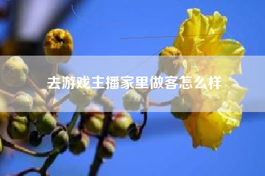 去游戏主播家里做客怎么样